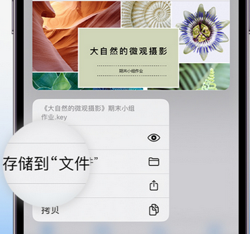 石城apple维修中心分享iPhone文件应用中存储和找到下载文件