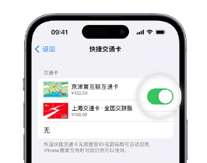 石城apple维修点分享iPhone上更换Apple Pay快捷交通卡手绘卡面 