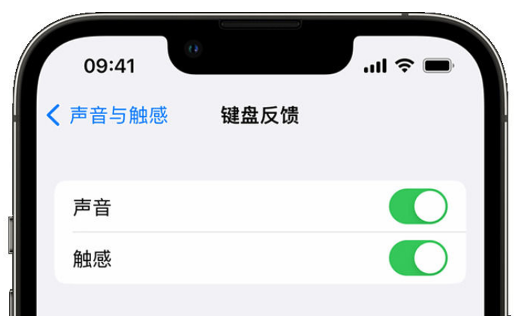 石城苹果手机维修分享iPhone 14触感键盘使用方法 