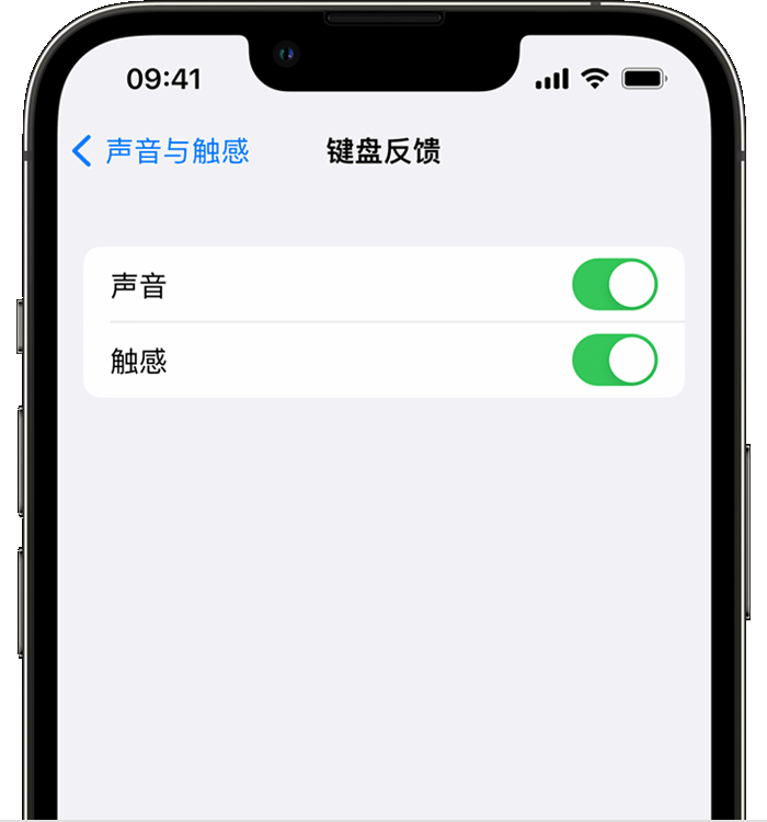 石城苹果14维修店分享如何在 iPhone 14 机型中使用触感键盘 