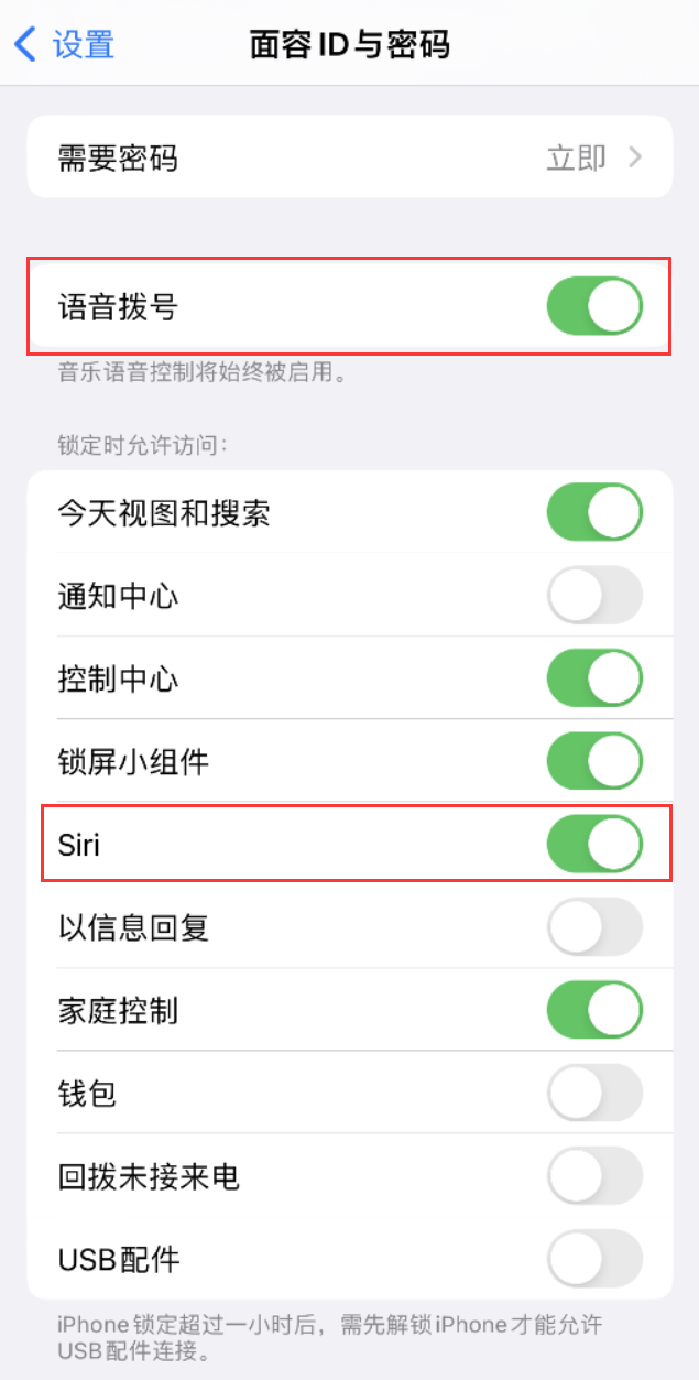 石城苹果维修网点分享不解锁 iPhone 的情况下通过 Siri 拨打电话的方法 