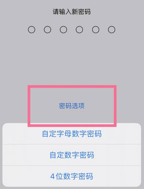 石城苹果14维修分享iPhone 14plus设置密码的方法 