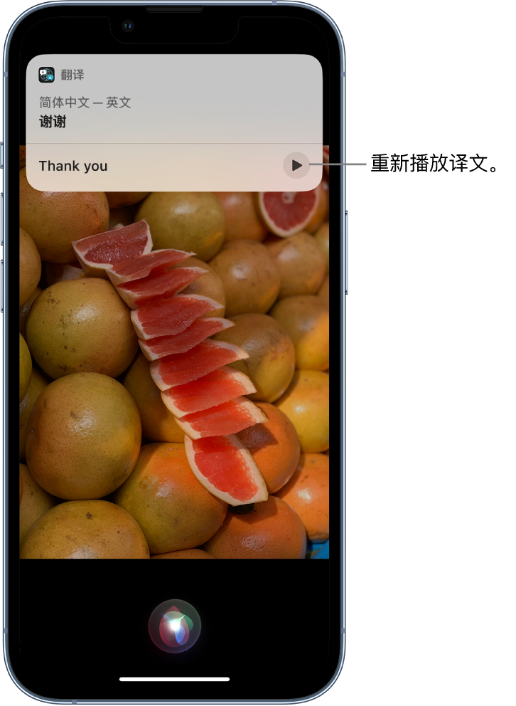 石城苹果14维修分享 iPhone 14 机型中使用 Siri：了解 Siri 能帮你做什么 