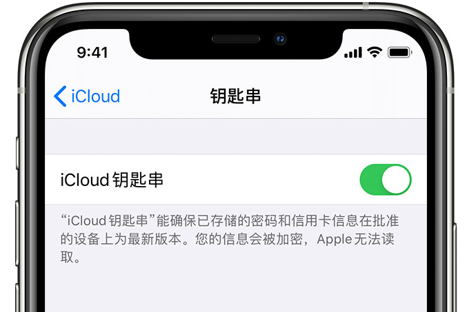 石城苹果手机维修分享在 iPhone 上开启 iCloud 钥匙串之后会储存哪些信息 