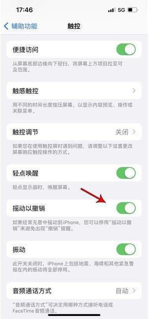 石城苹果手机维修分享iPhone手机如何设置摇一摇删除文字 